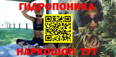 мяу мяу кристалл Лесной