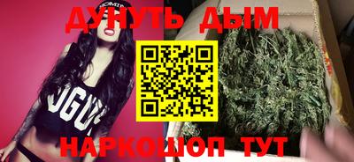ешки Майкоп