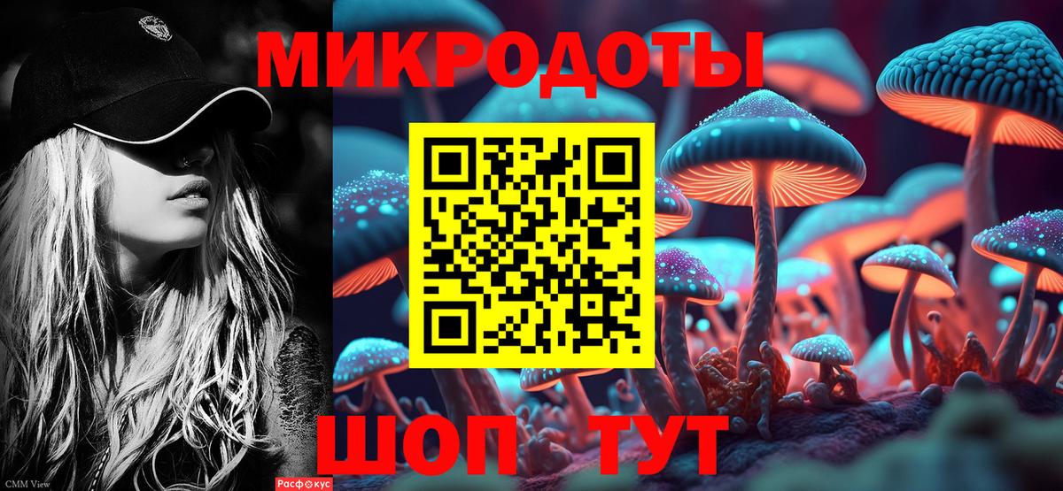 Псилоцибиновые грибы MAGIC MUSHROOMS  Вход с VPN  Алексеевка  Псилоцибиновые грибы Psilocybine cubensis 